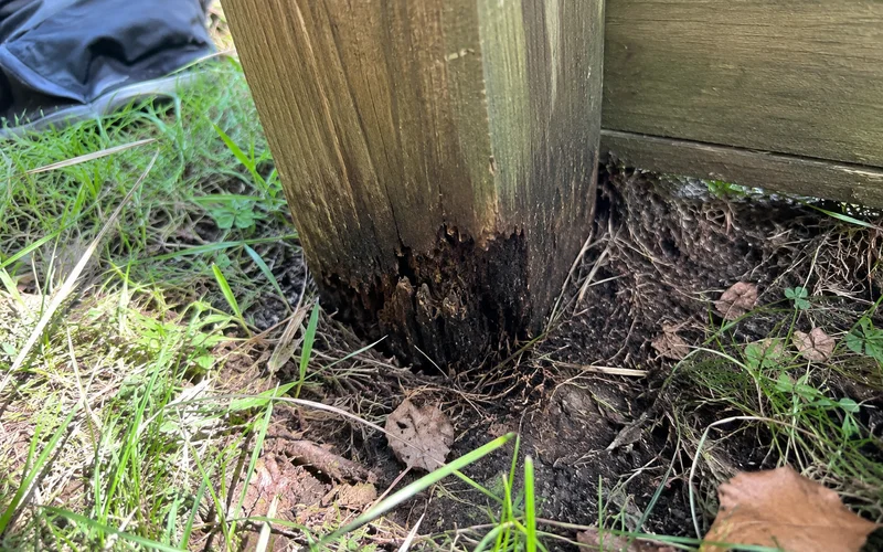 Base of a fence post showing dark soft rot at ground level