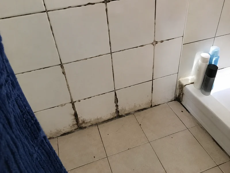 Dark crumbling grout with mould staining between bathroom tiles